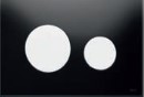 9240654.jpg